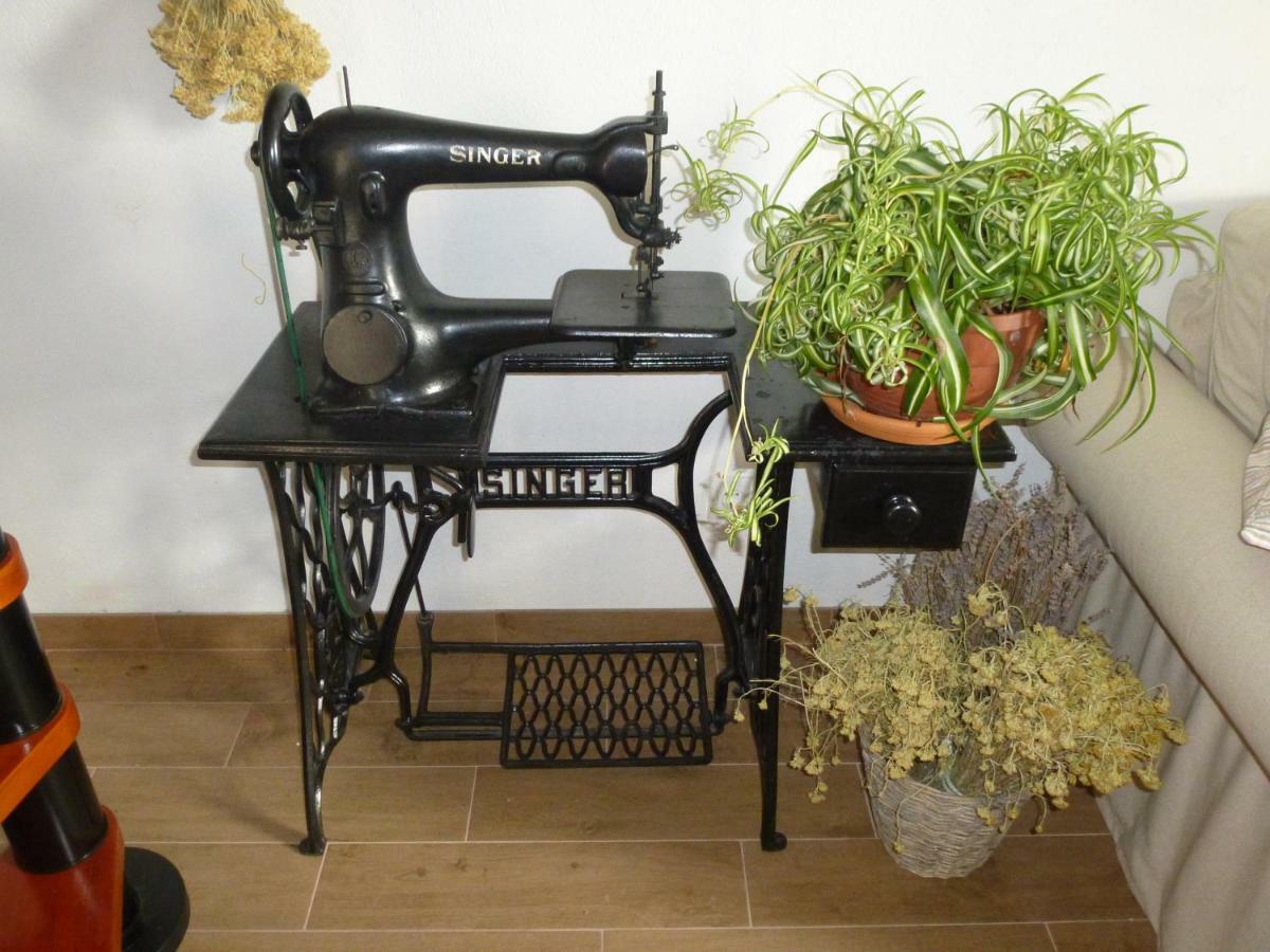 Kuca Za Odmor Viola Βίλα Živogošće Εξωτερικό φωτογραφία